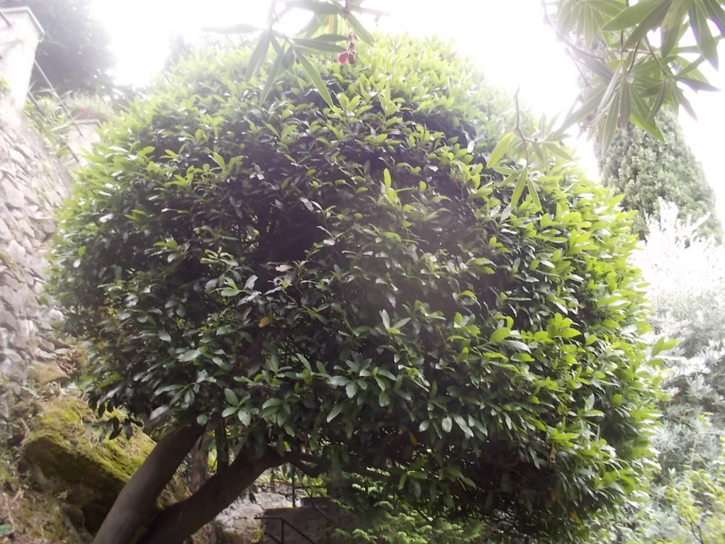 DSCN2675 (FILEminimizer)