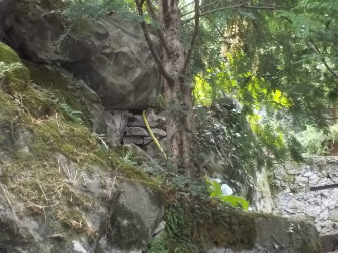 DSCN2676 (FILEminimizer)