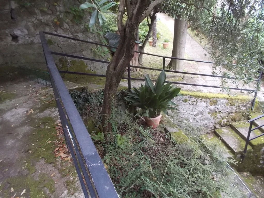 DSCN2679 (FILEminimizer)