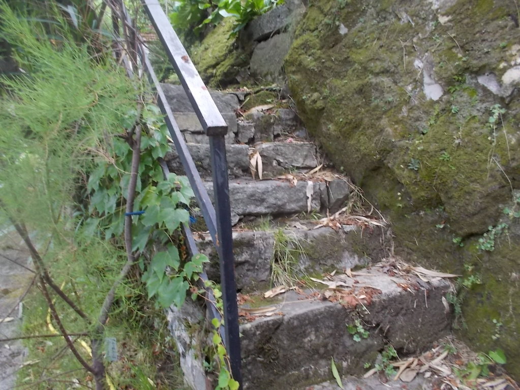 DSCN2682 (FILEminimizer)