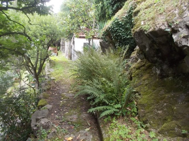 DSCN2683 (FILEminimizer)