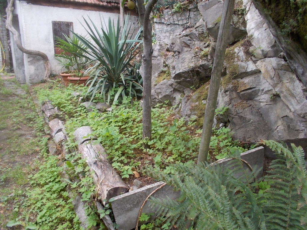 DSCN2684 (FILEminimizer)