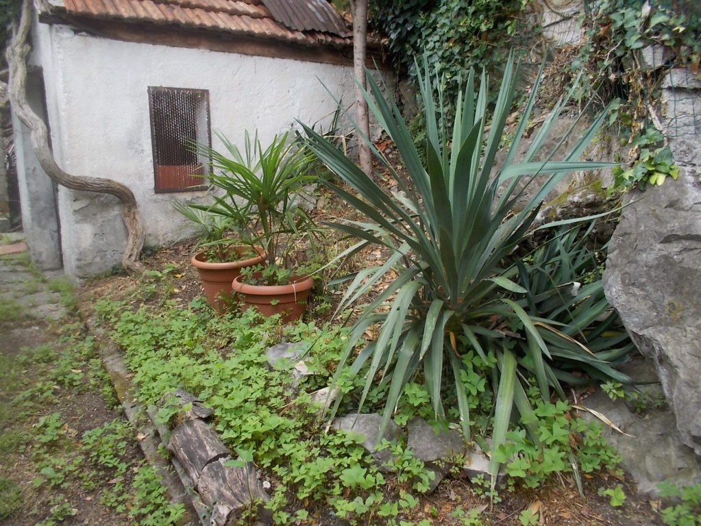 DSCN2686 (FILEminimizer)