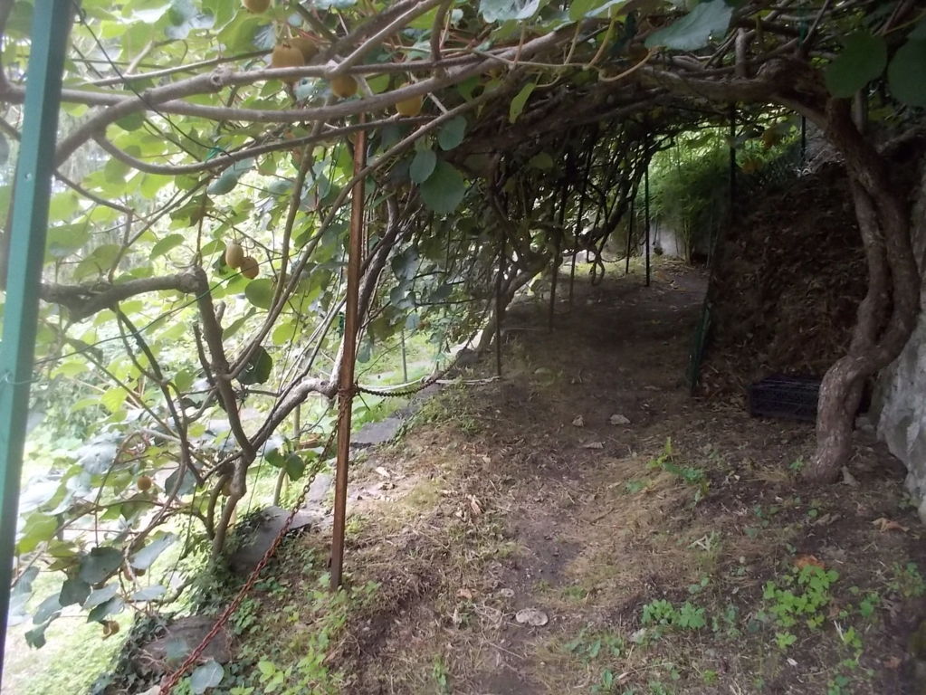 DSCN2696 (FILEminimizer)