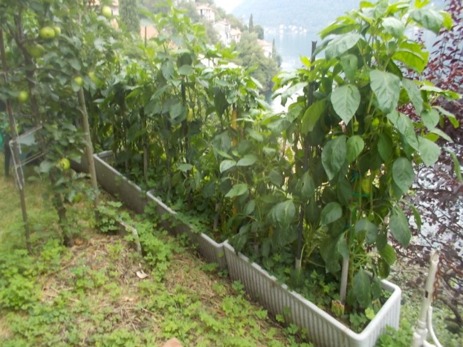 DSCN2712 (FILEminimizer)