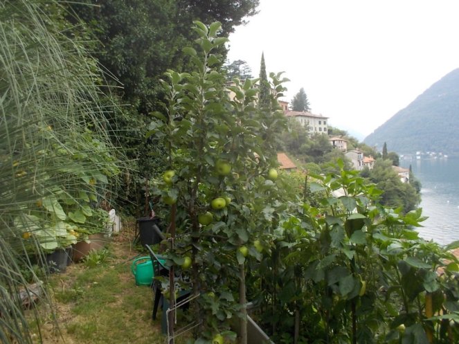 DSCN2714 (FILEminimizer)