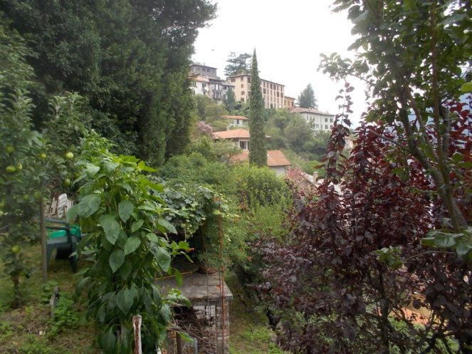 DSCN2717 (FILEminimizer)