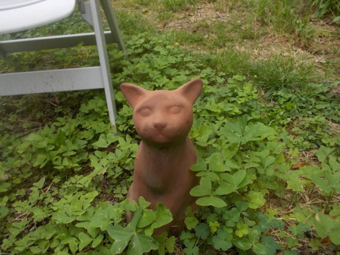 DSCN2719 (FILEminimizer)