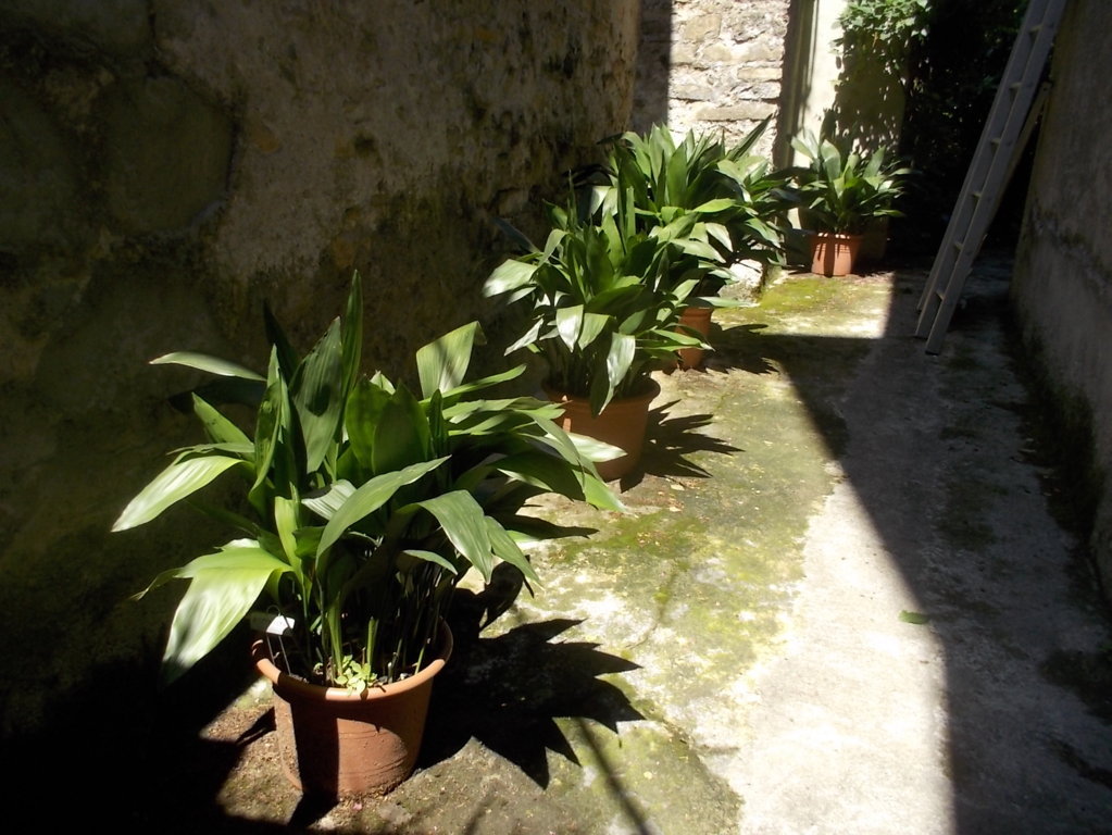 DSCN2847 (FILEminimizer)