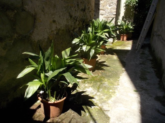 DSCN2847 (FILEminimizer)