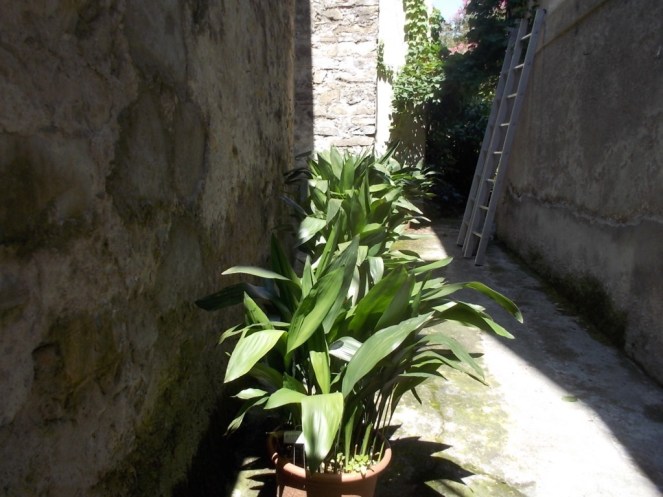 DSCN2848 (FILEminimizer)