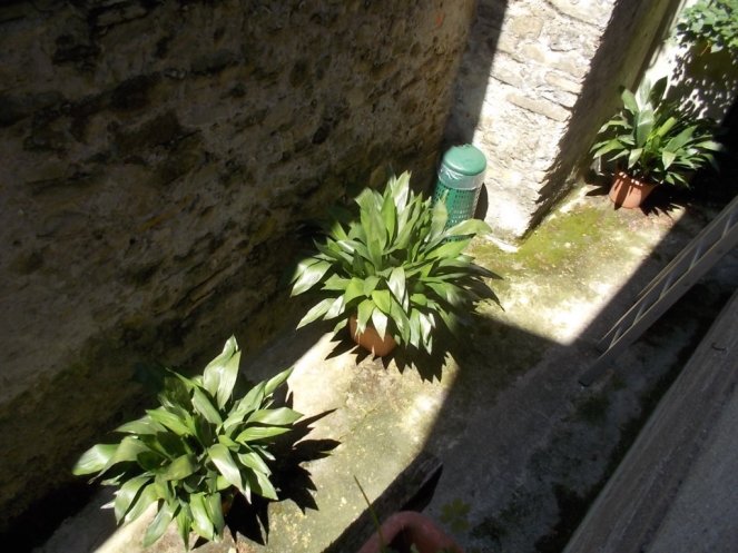 DSCN2850 (FILEminimizer)