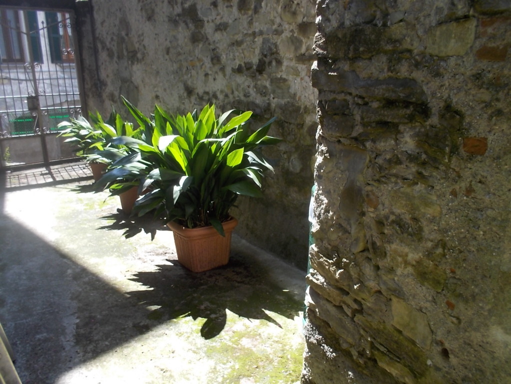 DSCN2851 (FILEminimizer)