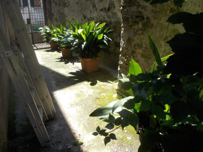 DSCN2852 (FILEminimizer)