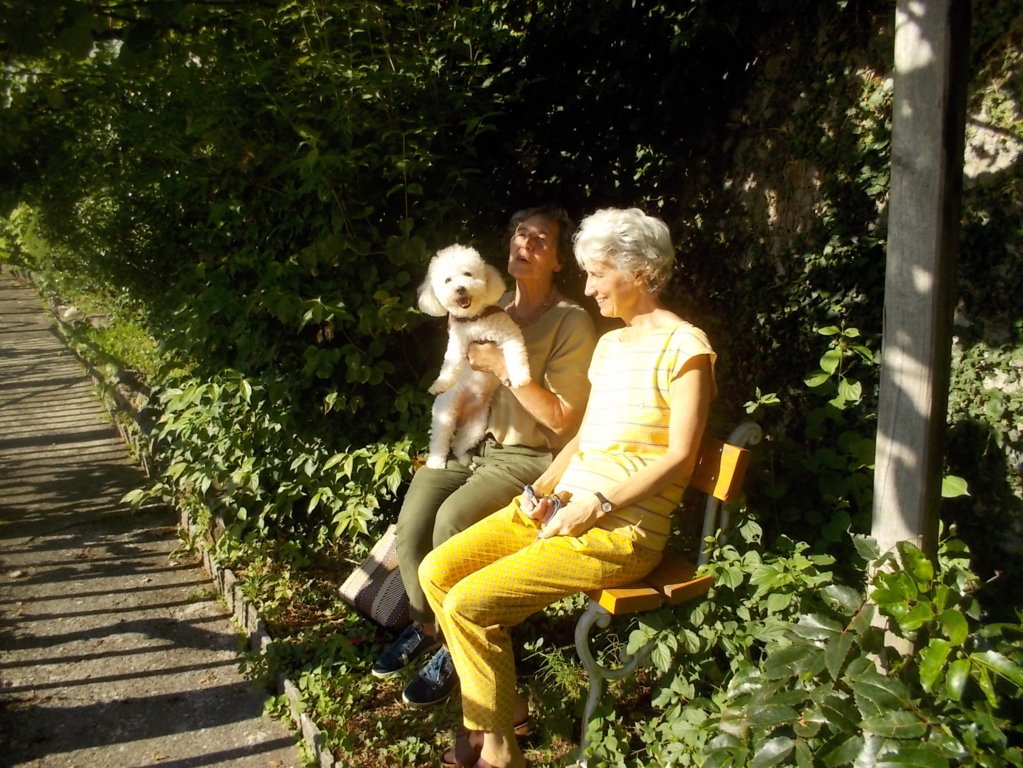 DSCN2854 (FILEminimizer)