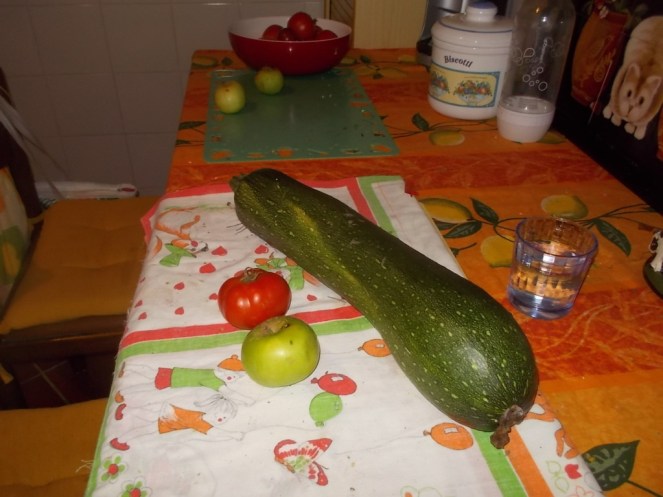 DSCN2857 (FILEminimizer)