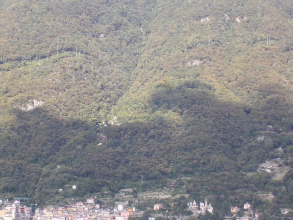 DSCN2880 (FILEminimizer)