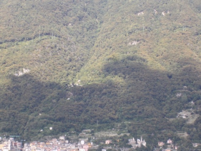 DSCN2880 (FILEminimizer)