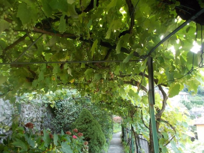 DSCN2885 (FILEminimizer)