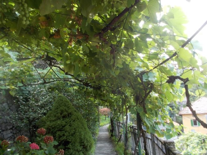 DSCN2886 (FILEminimizer)