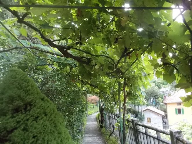 DSCN2887 (FILEminimizer)