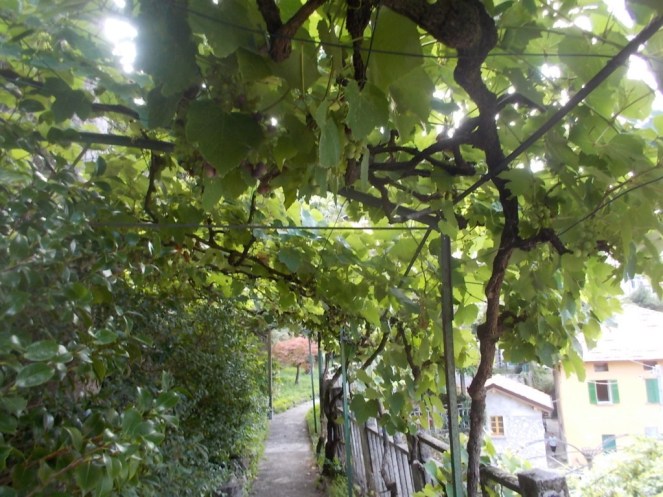 DSCN2888 (FILEminimizer)