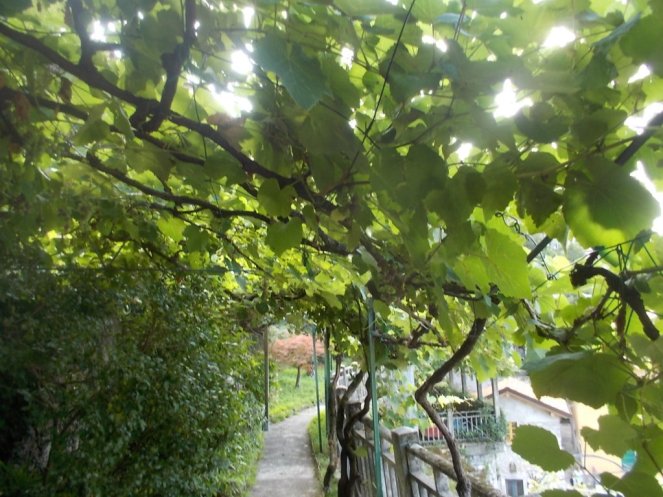 DSCN2889 (FILEminimizer)