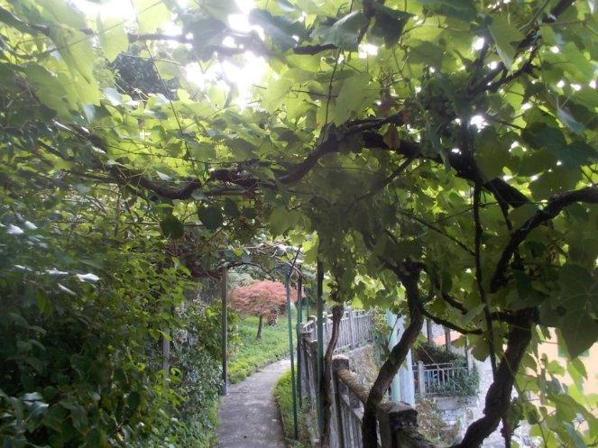 DSCN2890 (FILEminimizer)