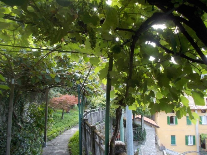 DSCN2891 (FILEminimizer)