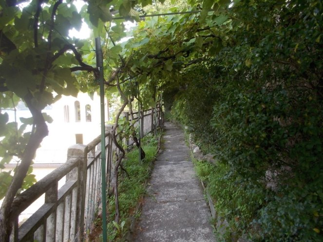 DSCN2892 (FILEminimizer)