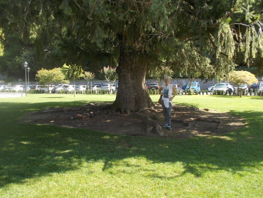 DSCN2921 (FILEminimizer)