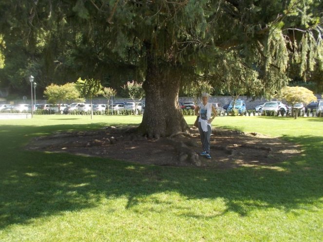 DSCN2921 (FILEminimizer)