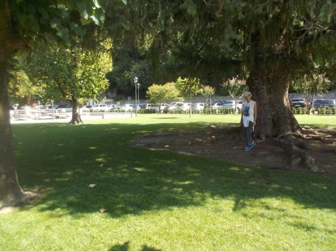 DSCN2924 (FILEminimizer)