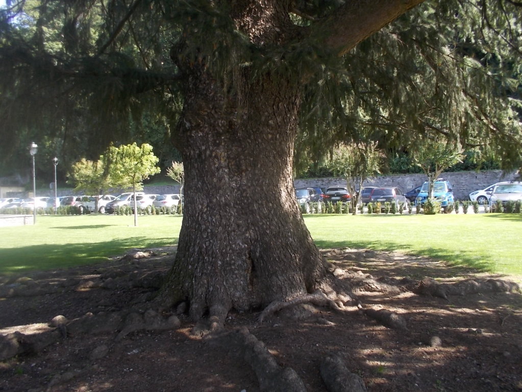 DSCN2926 (FILEminimizer)