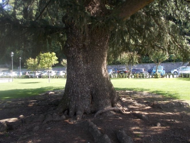 DSCN2926 (FILEminimizer)