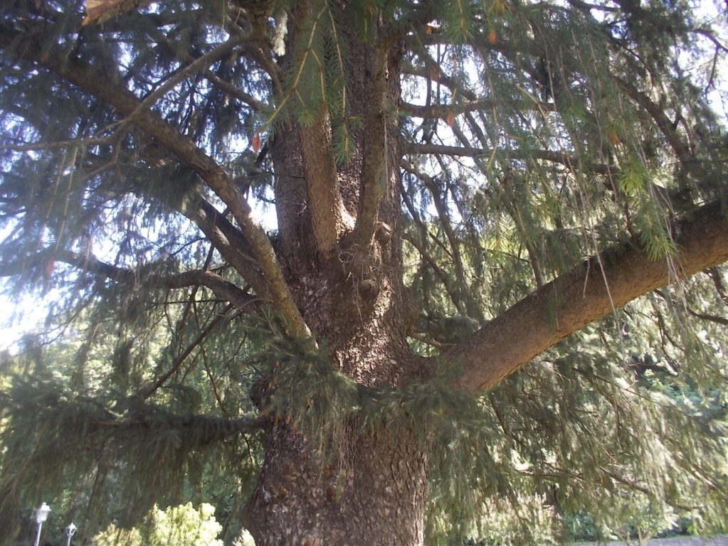 DSCN2927 (FILEminimizer)