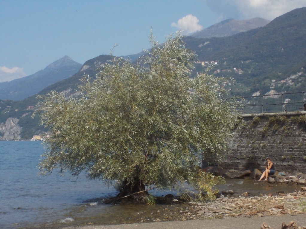 DSCN2932 (FILEminimizer)