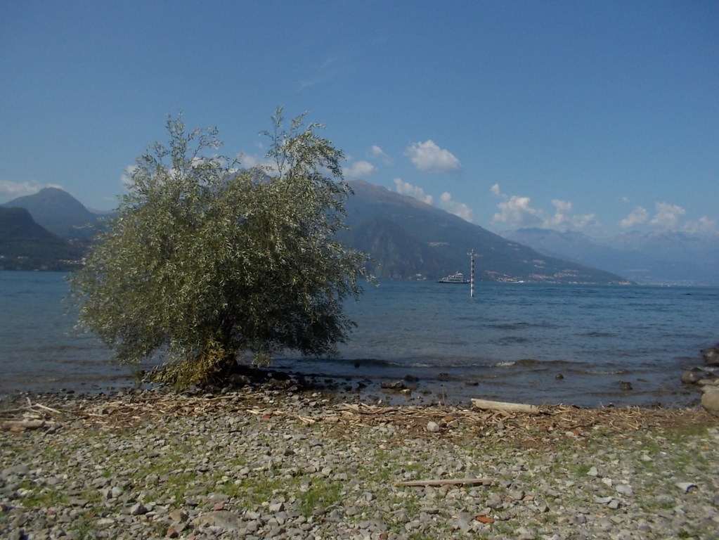 DSCN2934 (FILEminimizer)