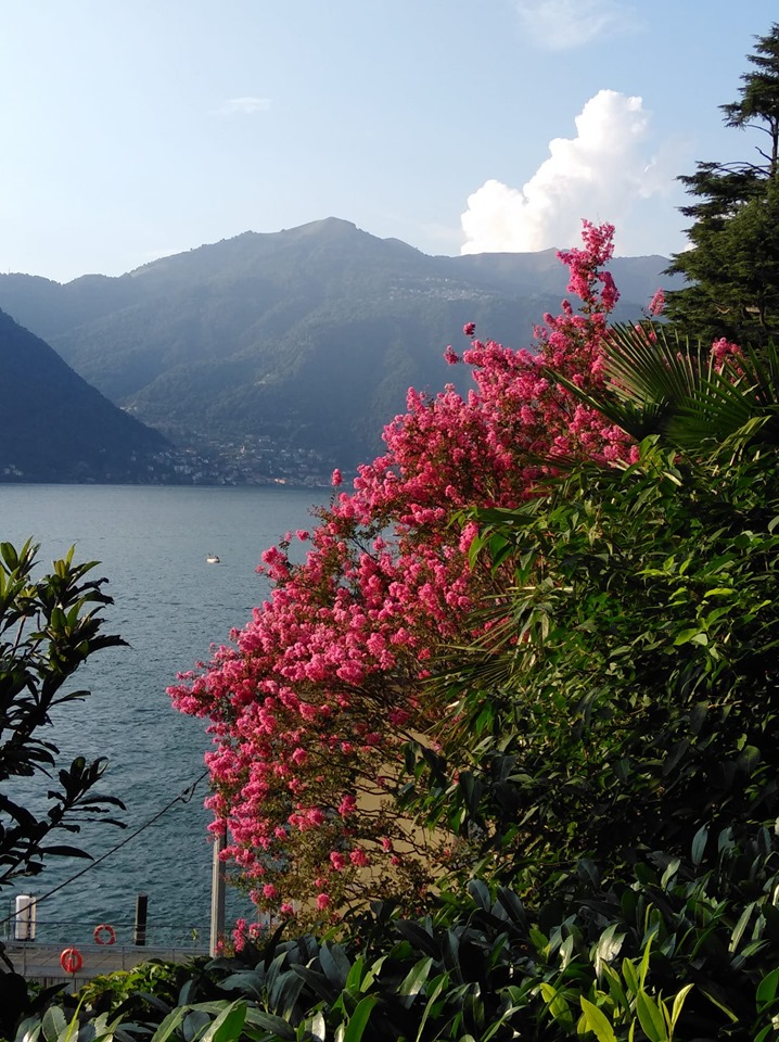 69357859_2562992350428719_2142642494007934976_n