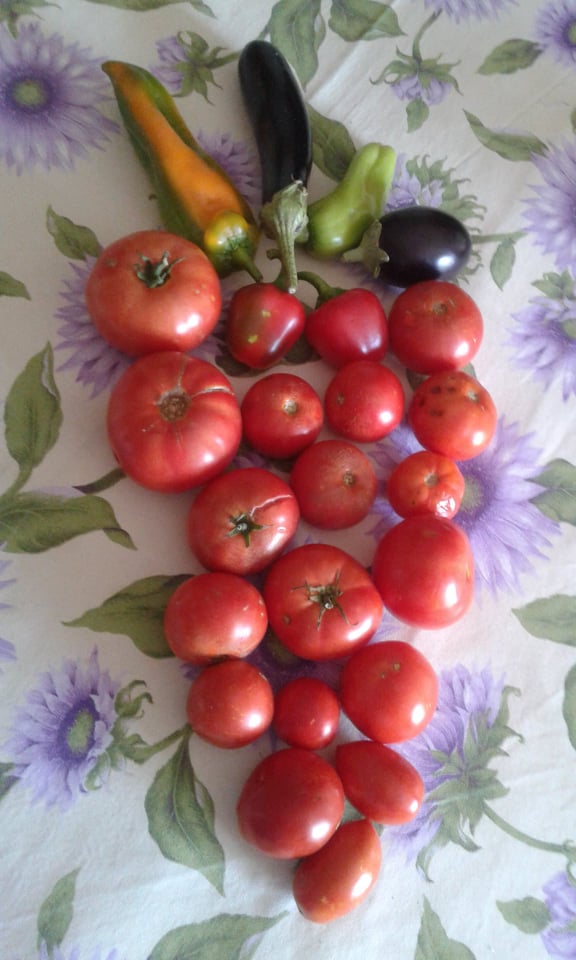 70064834_710072632799209_4587779040751910912_n