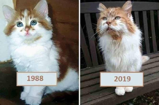 70477059_128239431874608_3552501934537572352_n