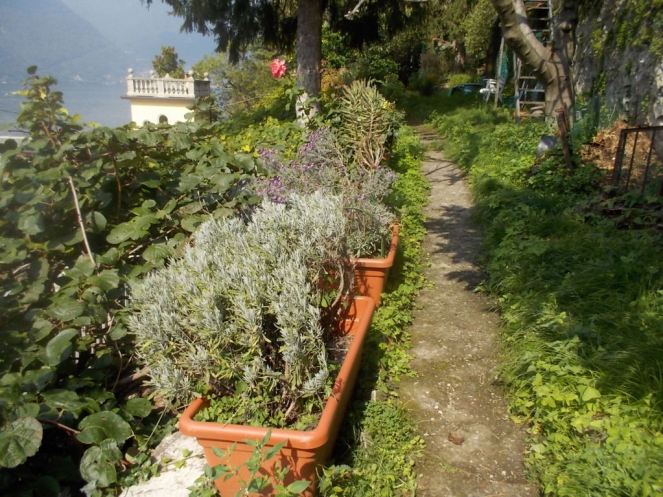 DSCN2966 (FILEminimizer)