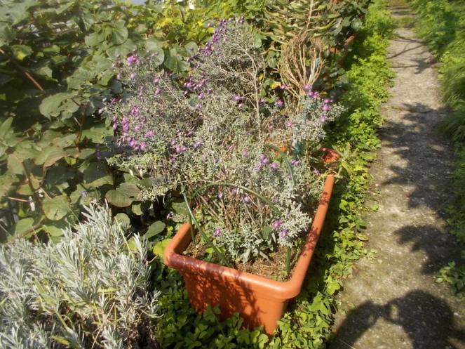 DSCN2967 (FILEminimizer)