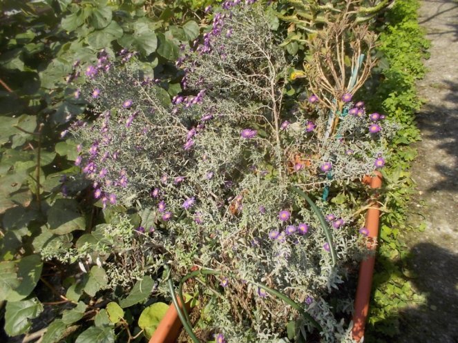 DSCN2968 (FILEminimizer)