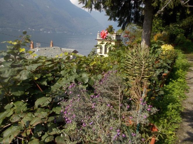 DSCN2970 (FILEminimizer)