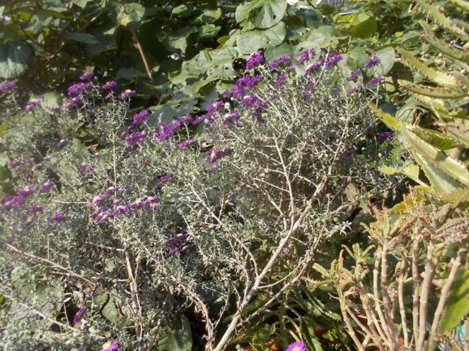 DSCN2973 (FILEminimizer)