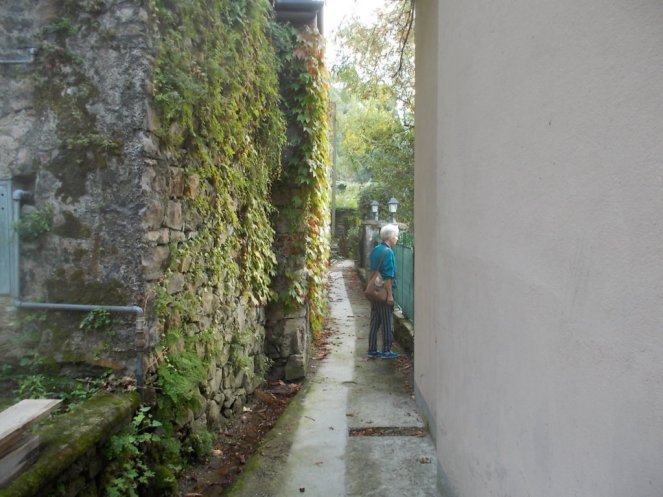 DSCN2979 (FILEminimizer)