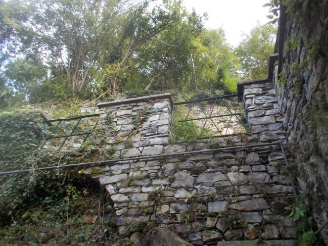 DSCN2982 (FILEminimizer)