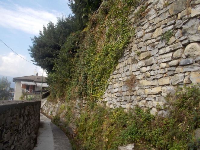 DSCN2984 (FILEminimizer)