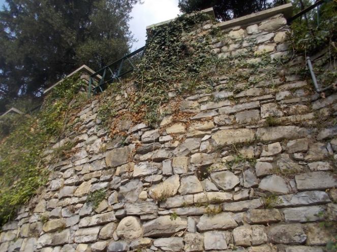 DSCN2985 (FILEminimizer)